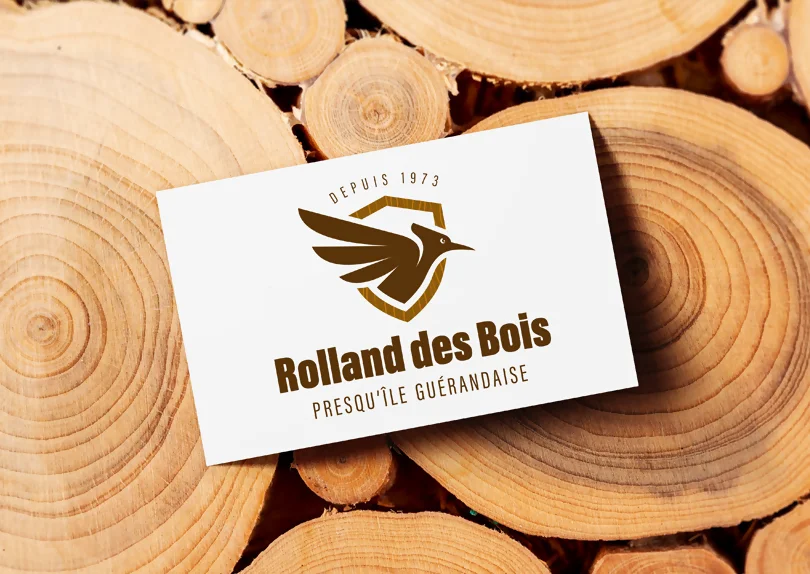 Création logo pour une entreprise de traitement du bois contre les insectes nuisibles