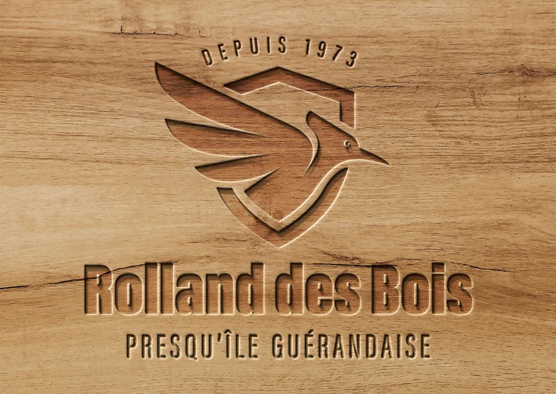 Création logo pour une entreprise de traitement du bois contre les insectes nuisibles